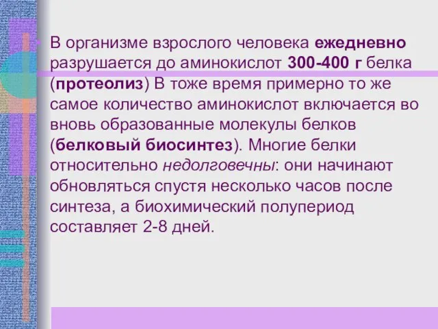 В организме взрослого человека ежедневно разрушается до аминокислот 300-400 г белка