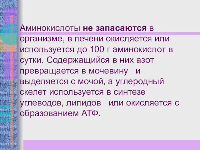 Аминокислоты не запасаются в организме, в печени окисляется или используется до