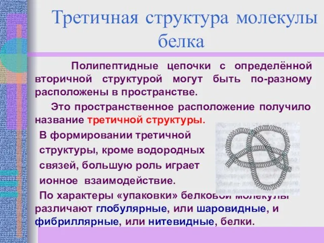 Третичная структура молекулы белка Полипептидные цепочки с определённой вторичной структурой могут