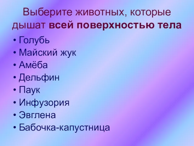 Выберите животных, которые дышат всей поверхностью тела Голубь Майский жук Амёба Дельфин Паук Инфузория Эвглена Бабочка-капустница