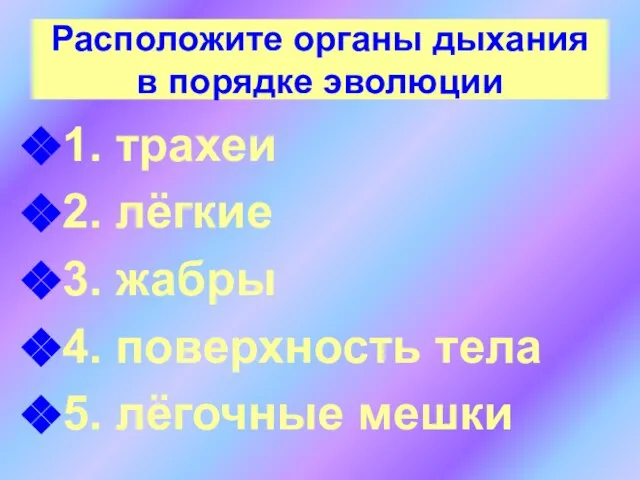 Расположите органы дыхания в порядке эволюции 1. трахеи 2. лёгкие 3.