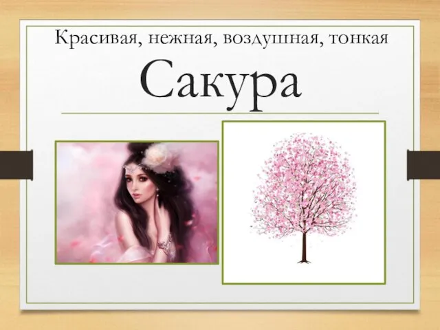 Сакура Красивая, нежная, воздушная, тонкая