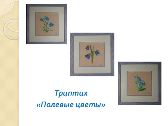 Триптих «Полевые цветы»