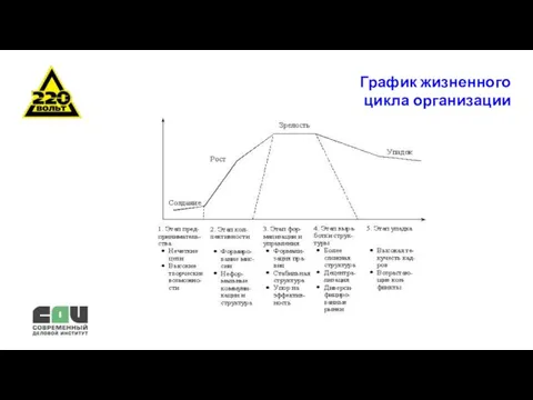 График жизненного цикла организации