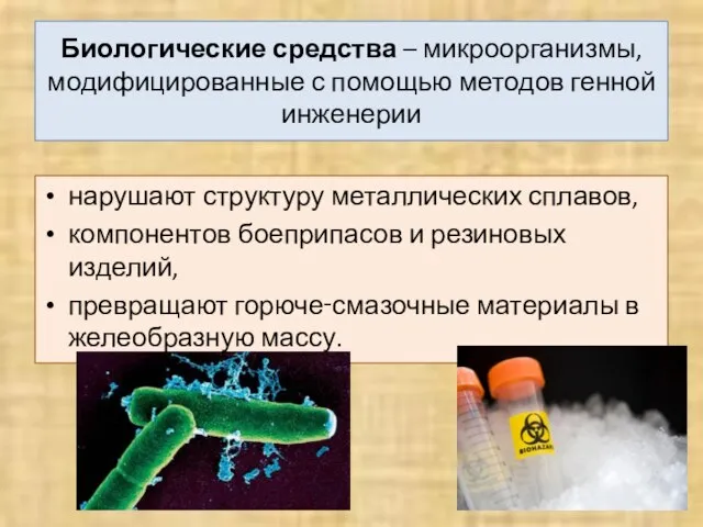 Биологические средства – микроорганизмы, модифицированные с помощью методов генной инженерии нарушают