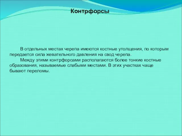 В отдельных местах черепа имеются костные утолщения, по которым передается сила