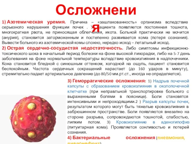 1) Азотемическая уремия. Причина – «зашлакованность» организма вследствие серьезного нарушения функции