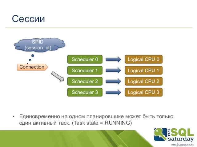 Сессии Connection SPID (session_id) Scheduler 0 Logical CPU 0 Scheduler 1