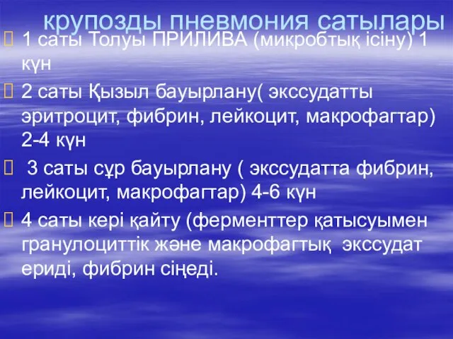 крупозды пневмония сатылары 1 саты Толуы ПРИЛИВА (микробтық ісіну) 1 күн