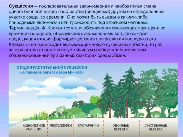 Сукце́ссия — последовательная закономерная и необратимая смена одного биологического сообщества (биоценоза)