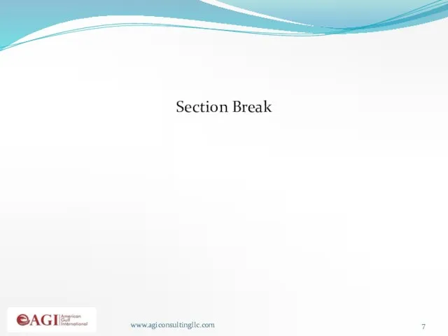 www.agiconsultingllc.com Section Break
