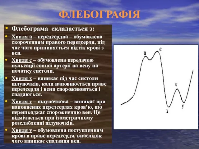 ФЛЕБОГРАФІЯ Флебограма складається з: Хвиля а – передсердна – обумовлена скороченням