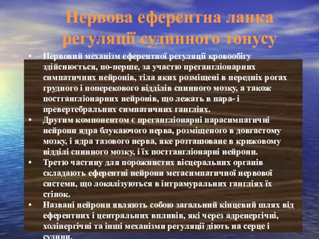 Нервова еферентна ланка регуляції судинного тонусу Нервовий механізм еферентної регуляції кровообігу