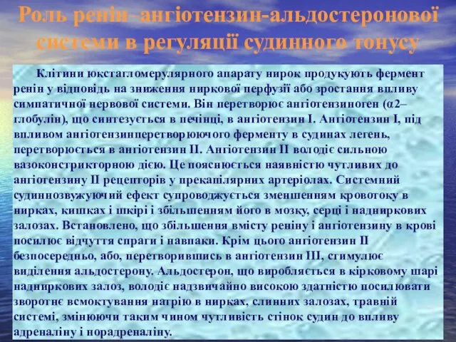 Роль ренін–ангіотензин-альдостеронової системи в регуляції судинного тонусу Клітини юкстагломерулярного апарату нирок