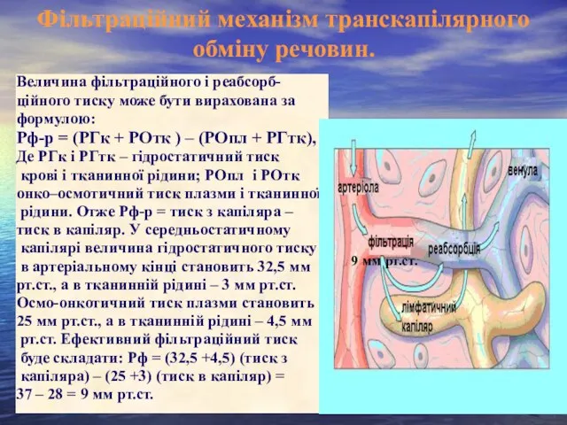 Фільтраційний механізм транскапілярного обміну речовин. Величина фільтраційного і реабсорб- ційного тиску