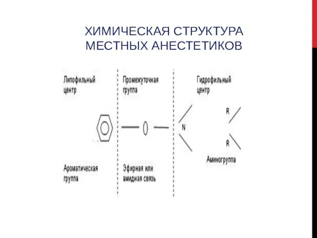 ХИМИЧЕСКАЯ СТРУКТУРА МЕСТНЫХ АНЕСТЕТИКОВ