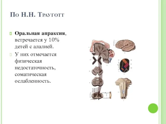 По Н.Н. Трауготт Оральная апраксия, встречается у 10% детей с алалией.