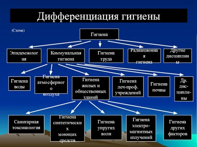 Дифференциация гигиены (Схема) Гигиена Эпидемиология Коммунальная гигиена Гигиена труда Радиационная гигиена