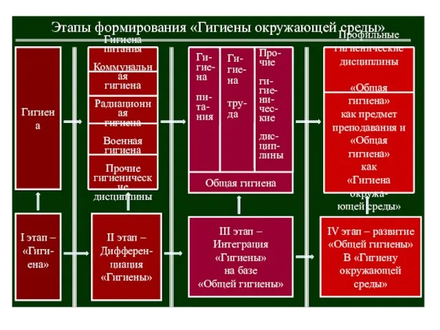 Этапы формирования «Гигиены окружающей среды» Гигиена Гигиена питания Коммунальная гигиена Радиационная