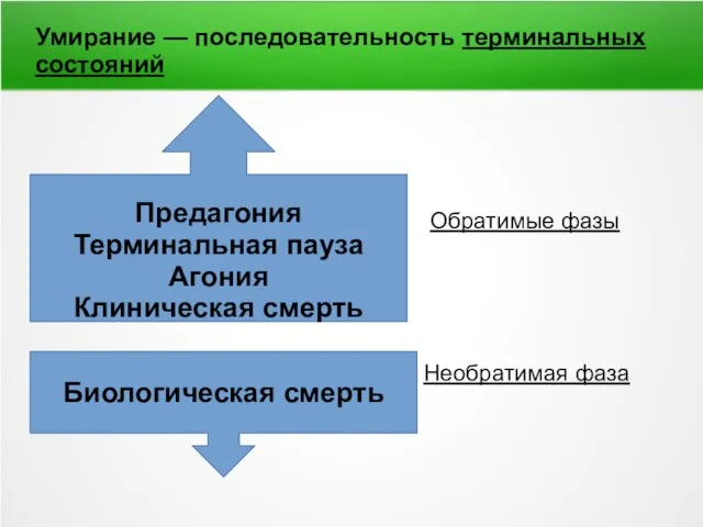 Умирание — последовательность терминальных состояний Обратимые фазы Необратимая фаза Предагония Терминальная