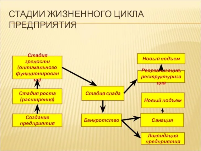 СТАДИИ ЖИЗНЕННОГО ЦИКЛА ПРЕДПРИЯТИЯ Стадия зрелости (оптимального функционирования) Стадия роста (расширения)