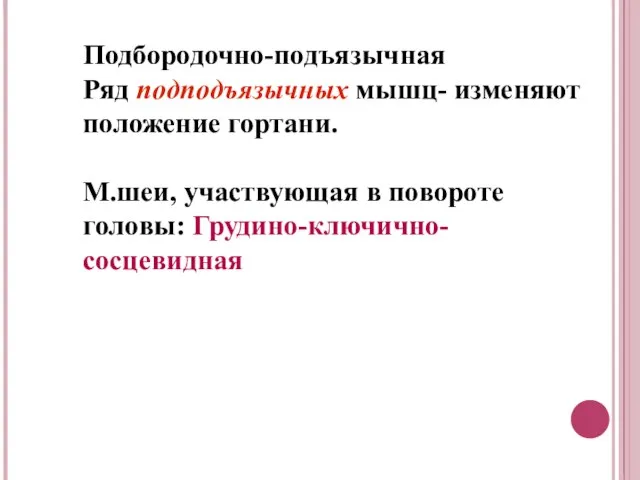 Подбородочно-подъязычная Ряд подподъязычных мышц- изменяют положение гортани. М.шеи, участвующая в повороте головы: Грудино-ключично-сосцевидная