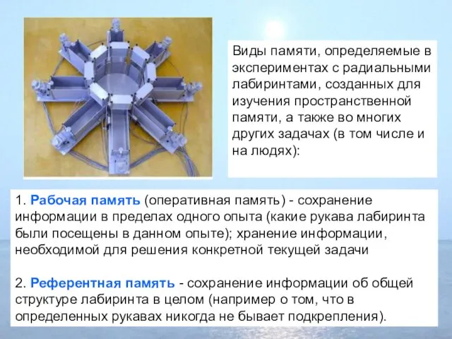 1. Рабочая память (оперативная память) - сохранение информации в пределах одного