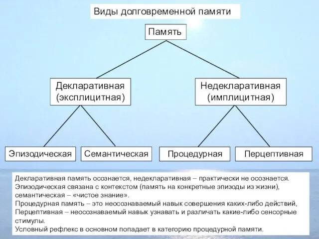 Память Декларативная (эксплицитная) Недекларативная (имплицитная) Эпизодическая Семантическая Процедурная Перцептивная Декларативная память