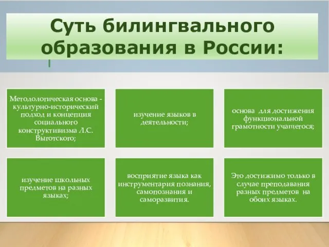 Суть билингвального образования в России: