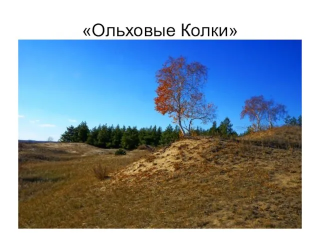 «Ольховые Колки»