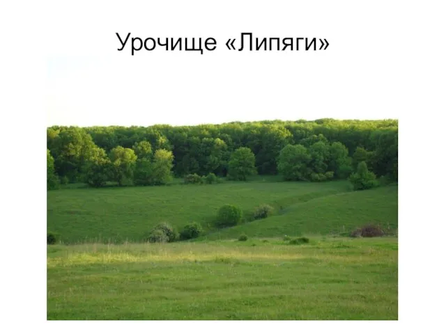 Урочище «Липяги»