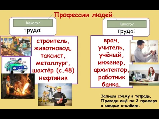 Профессии людей физического труда: умственного труда: строитель, животновод, таксист, металлург, шахтёр