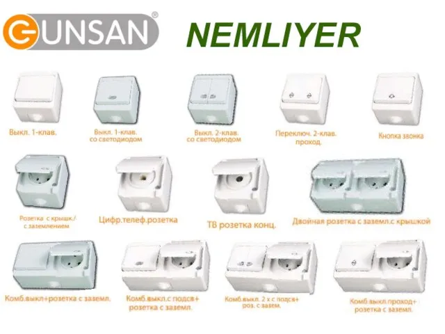 NEMLIYER