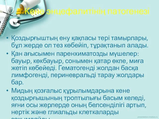 Кене энцефалитінің патогенезі Қоздырғыштың ену қақпасы тері тамырлары, бұл жерде ол