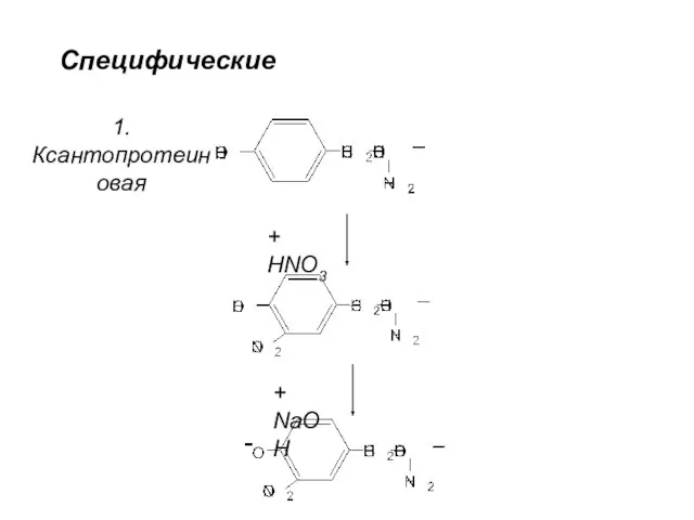 1. Ксантопротеиновая + HNO3 + NaOH Специфические