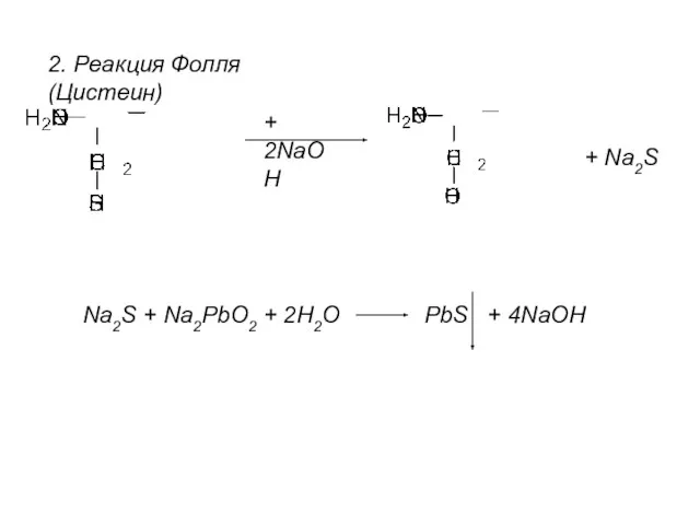 2. Реакция Фолля (Цистеин) + 2NaOH + Na2S Na2S + Na2PbO2 + 2H2O PbS + 4NaOH