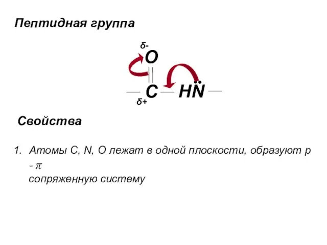 Пептидная группа C HN O δ- δ+ Свойства Атомы C, N,