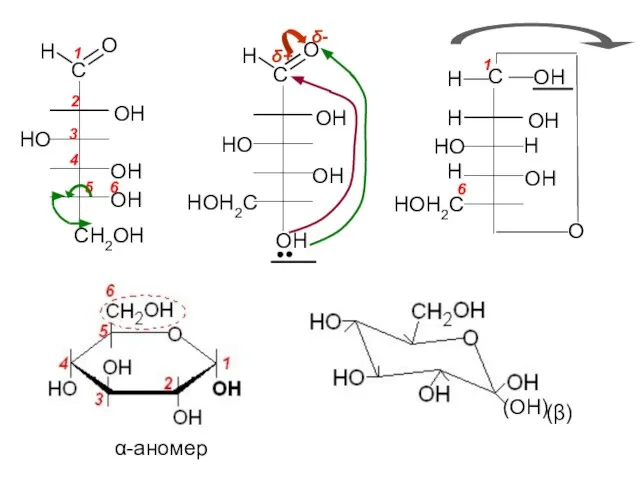 C H O CH2OH OH HO OH OH 2 3 4
