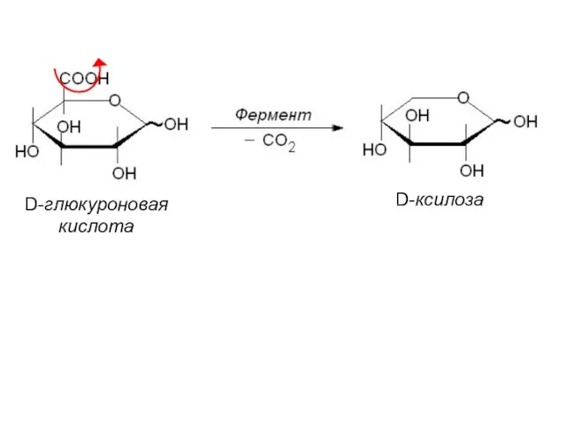 D-глюкуроновая кислота D-ксилоза