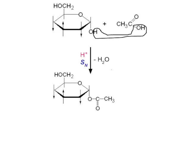 H+ SN - H2O