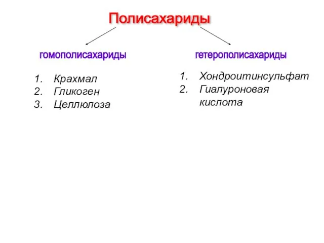 Полисахариды гомополисахариды гетерополисахариды Крахмал Гликоген Целлюлоза Хондроитинсульфат Гиалуроновая кислота