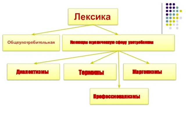 Лексика Общеупотребительная Имеющая ограниченную сферу употребления Диалектизмы Термины Жаргонизмы Профессионализмы