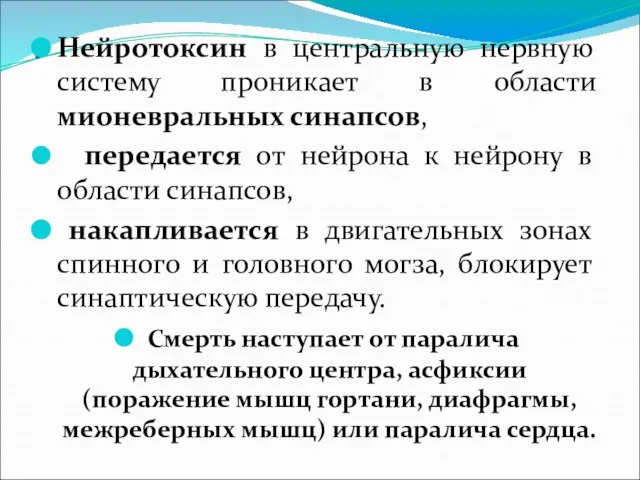 . Нейротоксин в центральную нервную систему проникает в области мионевральных синапсов,