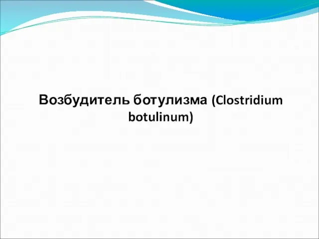 Возбудитель ботулизма (Clostridium botulinum)