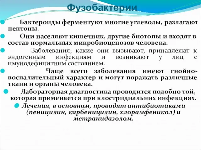 Фузобактерии Бактероиды ферментуют многие углеводы, разлагают пептоны. Они населяют кишечник, другие