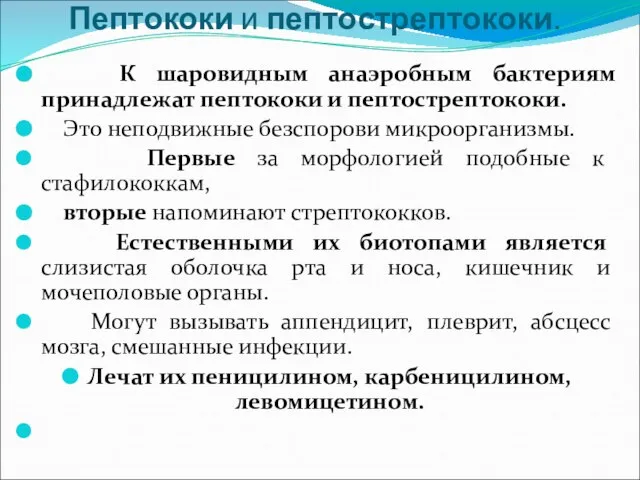 Пептококи и пептострептококи. К шаровидным анаэробным бактериям принадлежат пептококи и пептострептококи.