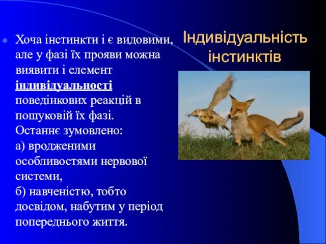 Індивідуальність інстинктів Хоча інстинкти і є видовими, але у фазі їх