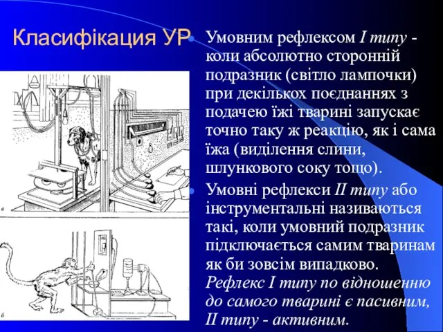 Класифікация УР Умовним рефлексом I типу -коли абсолютно сторонній подразник (світло