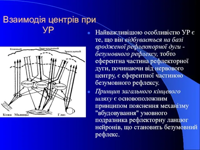 Взаимодія центрів при УР Найважливішою особливістю УР є те, що він