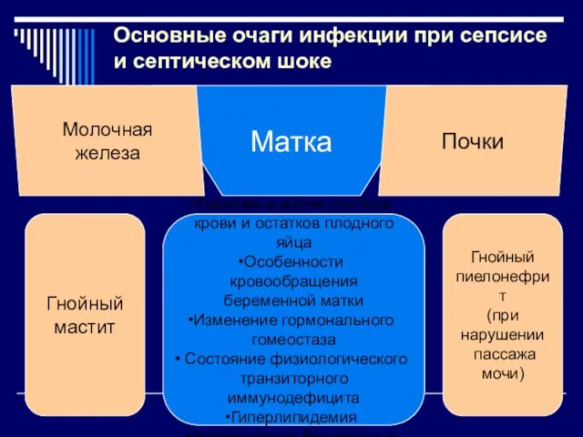 Основные очаги инфекции при сепсисе и септическом шоке Матка Почки Молочная